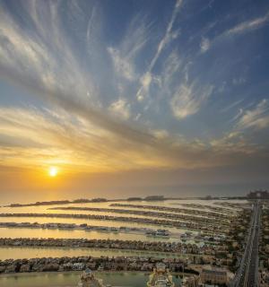a group of boats in a field at sunset