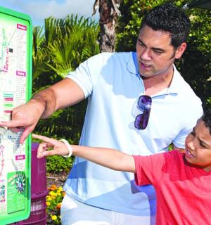 a man and a young boy pointing to a map