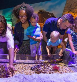 a group of people looking at a fish tank