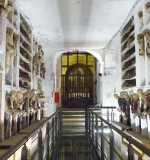 博物馆墙上挂满雕像的房间