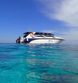 bílá loď ve vodě v oceánu