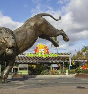 商店前的狮子雕像