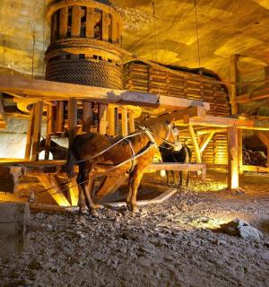 一匹马站在一栋建筑旁边的房间里