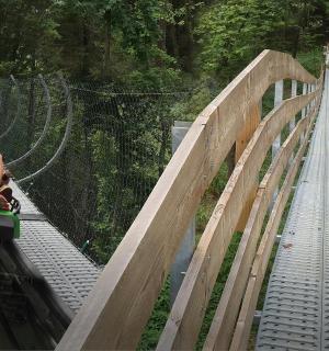 Gatlinburg Mountain Coaster Ride