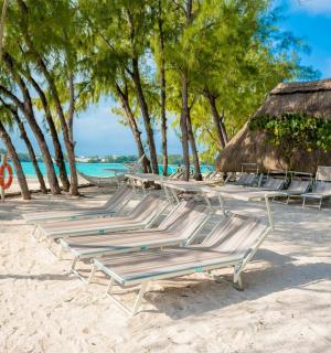 沙滩上的一组躺椅