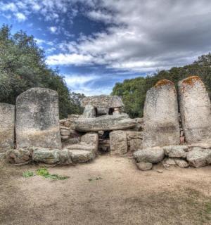 一组以树木为背景的石碑