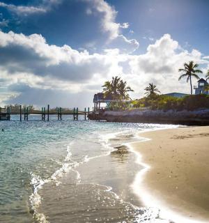 a sandy beach with palm trees and a pier