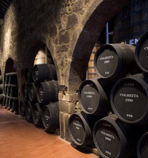 a row of wine barrels in a wine cellar