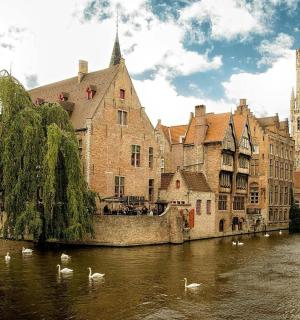 a group of swans floating on a river in a city