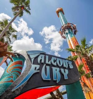 jízda na horské dráze v zábavním parku