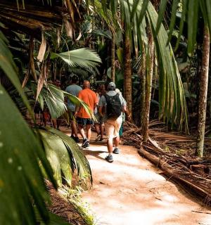 a group of people walking down a path in the jungle