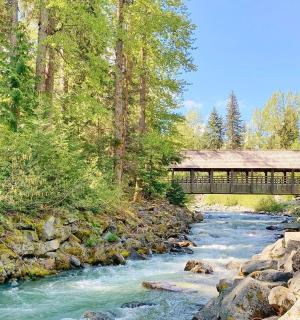 most přes řeku vedle lesa