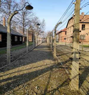 街道前的铁丝网