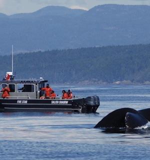 一群人在水中的船上