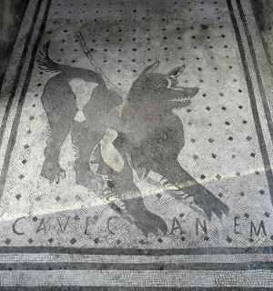 a mosaic of a dog on a floor