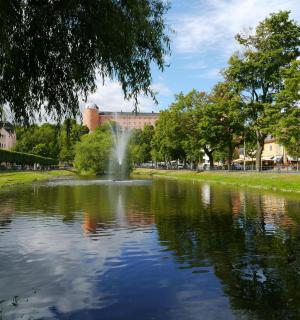 公园里有喷泉的池塘