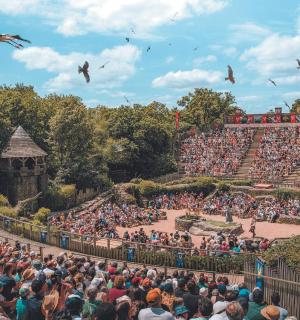 a large crowd of people flying kites at a festival