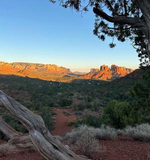 pohled na kaňon se stromem a horami