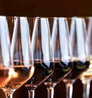 一排装满白葡萄酒的酒杯