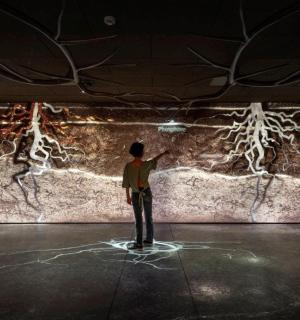 一名男子站在墙前