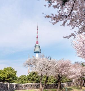 N Seoul Tower Observatory Admission