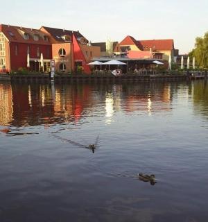 一片水域,有房屋,水中有一只鸭子