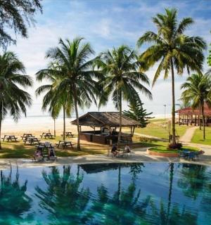 有棕榈树和沙滩的游泳池