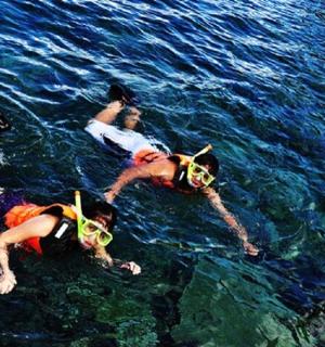 a group of people swimming in the water