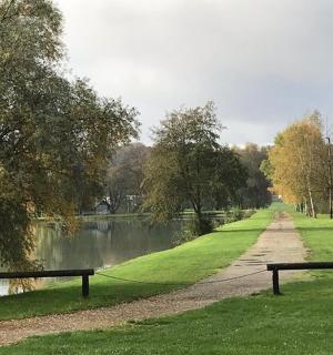 公园里水边的两张长椅