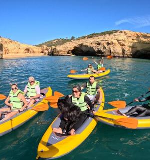 a group of people and a dog in kayaks on the water