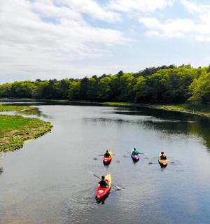skupina lidí v kajacích na řece