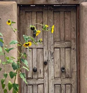 一扇木门上放着一束向日葵