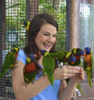 一位女士抱着一群色彩鲜艳的鸟