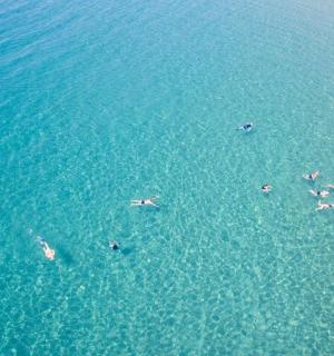 一群人在水中游泳