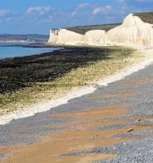 有白色悬崖和海水的海滩