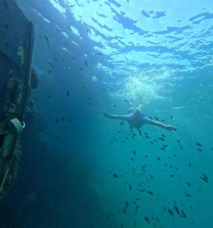 在船旁的水中游泳的人