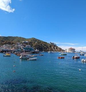 a bunch of boats in a large body of water