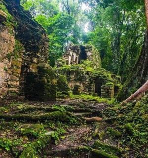 sebuah bangunan lama di dalam hutan dengan pokok