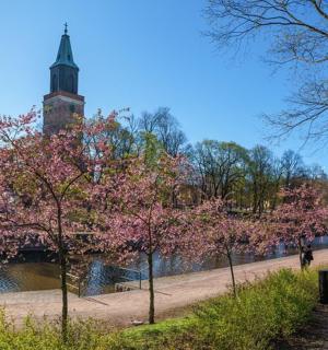 有一条河和一座钟楼的公园