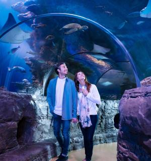 a man and a woman standing in front of an aquarium