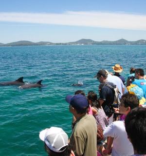 una multitud de gent observant un dofí a l'aigua