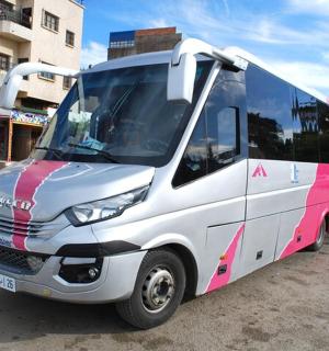 a pink and white bus parked on a street