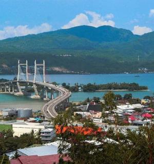 城市旁边水面上的一座桥