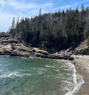 a beach with a body of water and trees