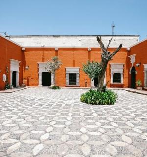 建筑物中间有一棵树的庭院