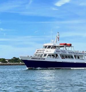 a large blue and white boat in the water