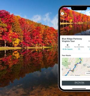 a cell phone taking a picture of a lake with fall foliage