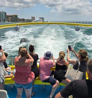 a group of people taking pictures of a dolphin on a boat