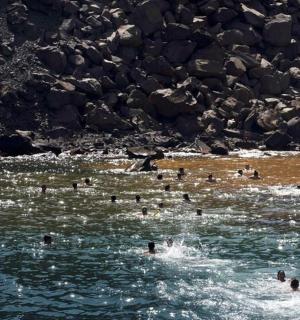 a group of people swimming in a body of water
