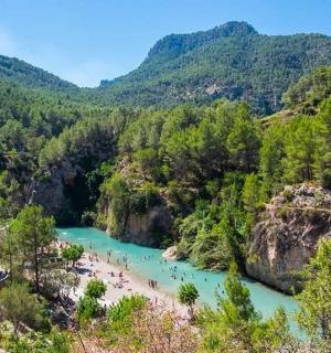 人们在河里游泳的景色